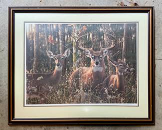 Framed print numbered and signed by Jay Kemp (#394/950)