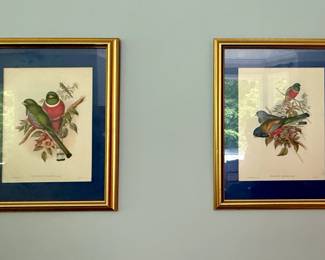 Vintage framed bird prints