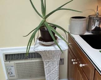 White wicker plant stand with plant.