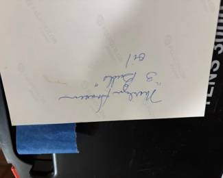 "3 Bulls" by Marilyn Hanson.