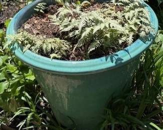 Planters with plants.