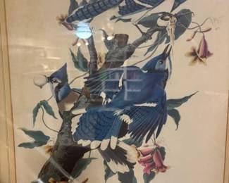 Audubon print.