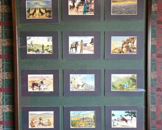 Framed postcard collection