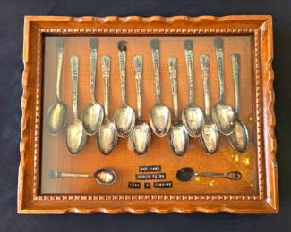 Collector spoon set