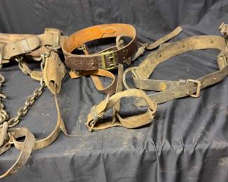 Lineman Safety Belts 
