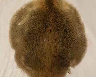 Tanned Beaver Fur