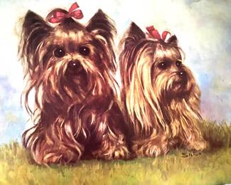 Picture of cute Yorkie