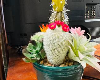 Planter with succulents