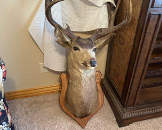 Deer mount