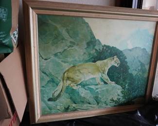 Large cat picture