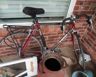 TREK 2100 bike