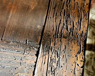 Wood close up