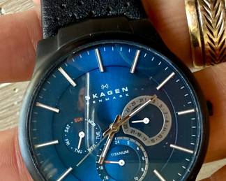 Skagen Denmark Titanum Watch