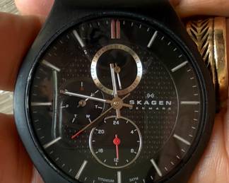 Skagen Denmark Watch