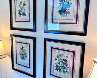 Botanical Prints after Jane Webb Loudon
