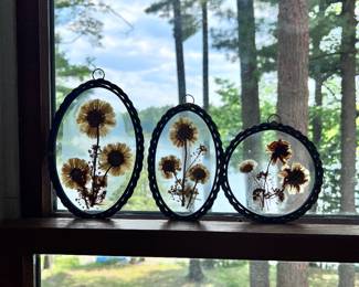 pressed flower window sun catchers