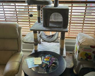 Cat Stand for your Precious Cat