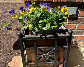 Petunias in Decor Stand