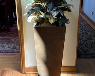 Tall Planter w/Plant
