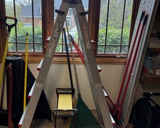 Reticulating Ladder