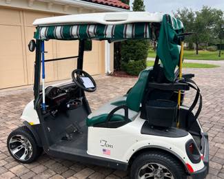 2010 E-ZGO double seater golf cart. New battery, runs great!