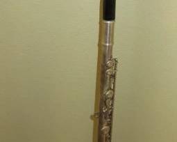 Unique Flute Cane Walking Stick