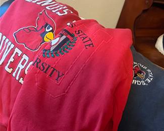 Illinois sport teams