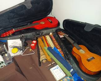 Ukelele. Is that singular or plural?