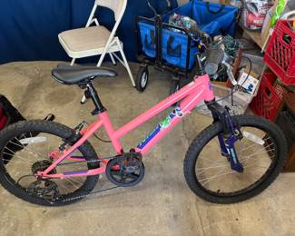 Nishiki Pueblo 20” Girls Bike!