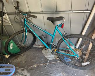 Roadmaster Chromium Edition Bicycle