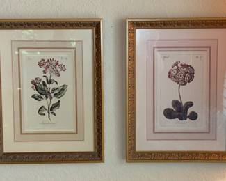 Set of Four Framed Botanical Prints