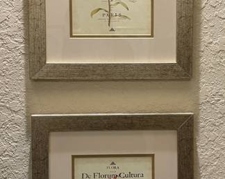 Set of Two French Botanical Prints