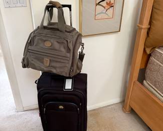 Briggs & Riley travel bag and roller bag 