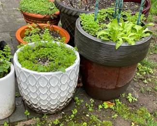 Planters