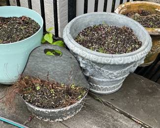 Planters