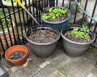 Planters