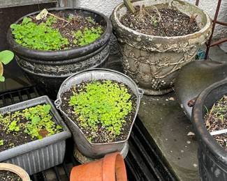 Planters