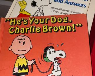 Charlie Brown, Snoopy, & Peanuts Collection (Vintage Books, Ceramic Dolls, Etc.)