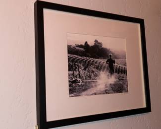 Framed Wall Art
