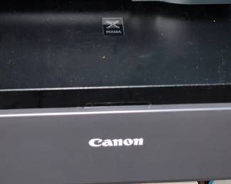 Canon Pro-100 Printer (With Ink)