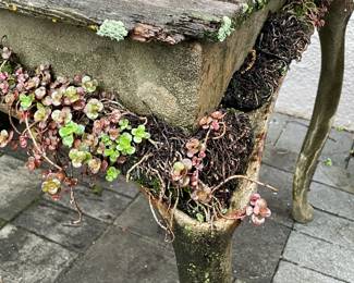 Concrete Table W/ "Living Edge"