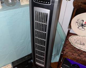 Oscillating Fan