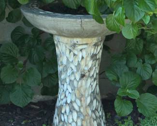 Shell Bird Bath