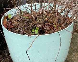 Planter