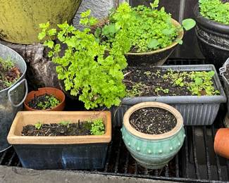 Planters