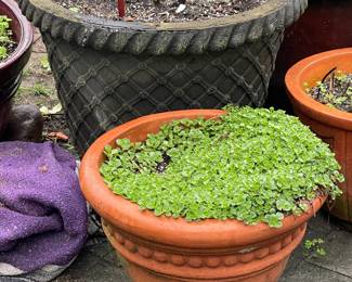 Planters
