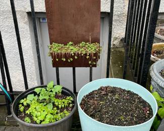 Planters