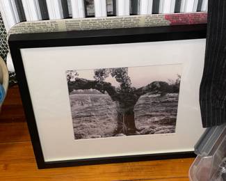 Framed Photograph