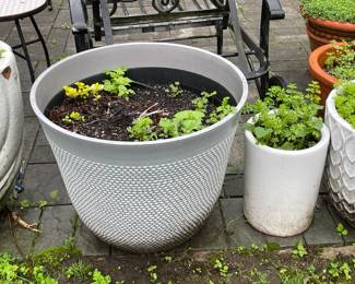 Planters