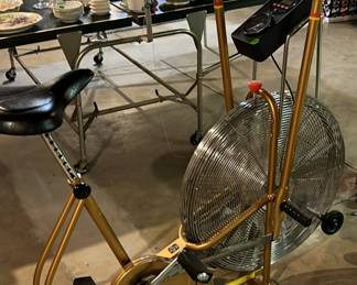 Schwinn Air-Dyne